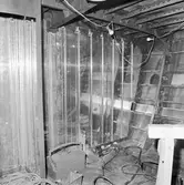 Int av torpedbåt Spica II