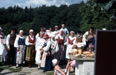 Dräktparad med folkdräktsklädda män och kvinnor en hembygdsdag på Långåker år 1984. Bland annat till höger iklädda Bohusdräkter ses Margit Johansson, Stina Svensson samt Bertil Edvardsson.