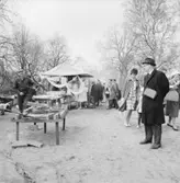 Fiskrökeriet på Skansen.