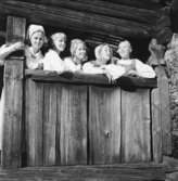 Fröken Skansen Gunnel Bergström och Skansenguiderna