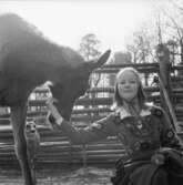 Fröken Skansen 1968, Gunnel Bergström.