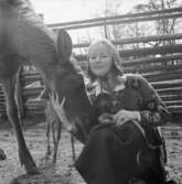 Fröken Skansen 1968, Gunnel Bergström.