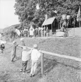 Barnverksamhet, Noaks ark. Skansen.
