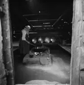 Marta på Fäbodvallen, Skansen.