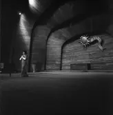 Birgit Nilsson på Sollidenscenen, Skansen.