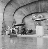 75-årsjubileet. Program på Sollidenscenen.