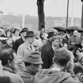 Kungligt besök på Skansens 75-årsjubileum.