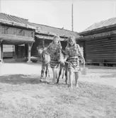 Dop av ponnyföl, Skansen.