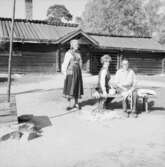 Korgflätning. Moragården, Skansen.