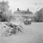 Helstekt gris grillas på gårdsplanen framför Skogaholms herrgård, Skansen.