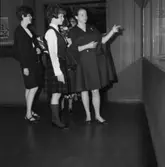 Museibesök. Wasavarvet.