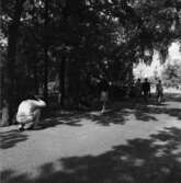 Allmänna publikbilder, Skansen augusti 1968. 