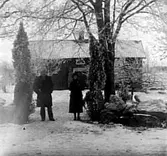 EN MAN OCH TVÅ KVINNOR VID PORTEN TILL EN TOMT, SOM ÄR PYNTAD MED ENBUSKAR INFÖR JULEN