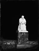 Staty - Carl von Linné, Uppsala 1878