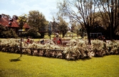 Lekplats i Linnéparken, 1956. Till vänster syns Björklundska gården.