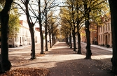 Norra Esplanaden i Växjö, ca. 1960.