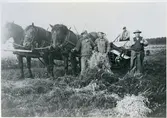 Tortuna sn, Västerås kn, Lundby.
Höskörd, 1935.
