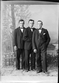 Ateljéporträtt - två unga män tillsammans med Walfrid Eriksson från Sandika, Harg socken, Uppland 1921