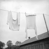 På en bakgård i Jönköping hänger en undertröja och ett par långkalsonger på tork bredvid uthuset.