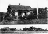 Grinstad. Råskog