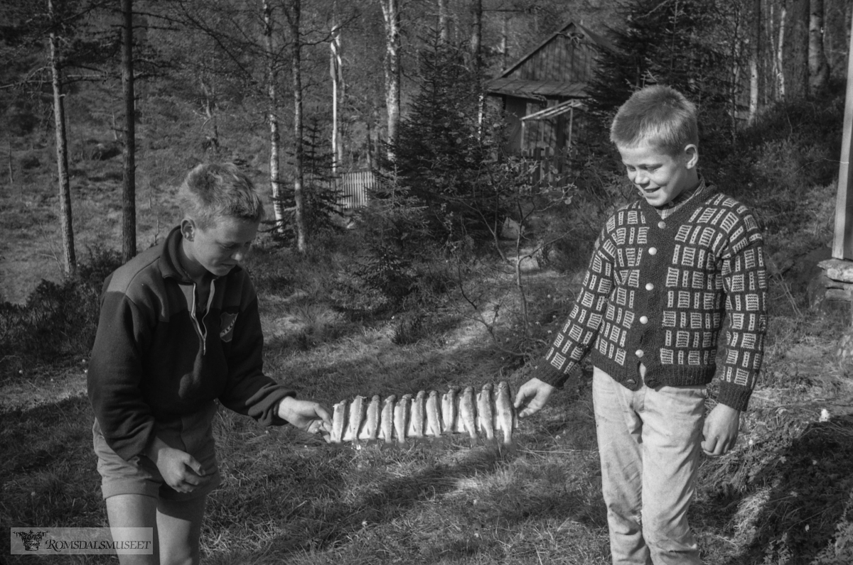 "Lillehammer 01.06.1964. Hos Tovan. Hyttetur. Vitjing på Langvatnet". (Foto/Photo)