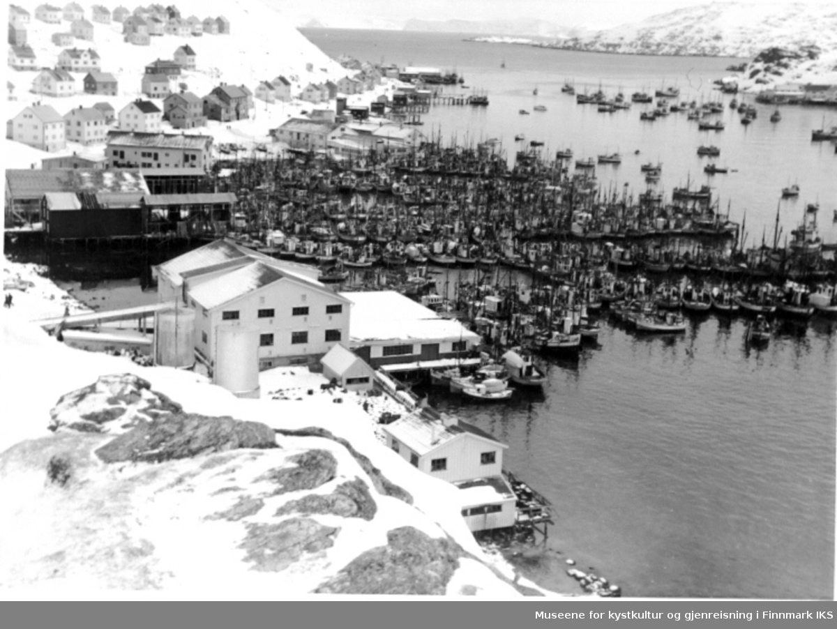 Fiskebåter i havn i Havøysund 1958.