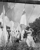 Göteborg. Kvinna hänger upp tvätt utomhus.
