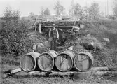 Skogsbruk. Tjärdal. En man och fyra tunnor framför öppningen på tjärdalen. Simonstorp, Östergötland. 
