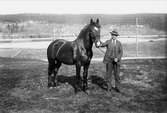 Otto Bojort, Åkra, med häst. Lima, Dalarna.