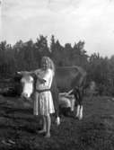En flicka håller en ko i hornen och en kvinna mjölkar.
