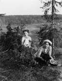 Två kvinnor och en hund i skogen, sannolikt Berge, Medelpad 1909 - 1911