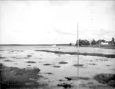 Östhammarsfjärden utanför Östhammar, Uppland augusti 1921