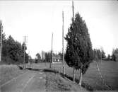 Väg nära Sigtuna, Uppland maj 1930