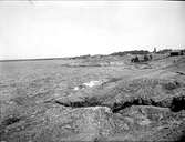 Havskust i Öregrund, Uppland i juli 1923
