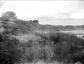 Berghäll och måsar i Öregrund, Uppland i augusti 1923