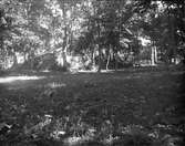Trädgården hörande till Öregrunds prästgård, Uppland i juli 1923