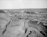 Havskust i Öregrund, Uppland i juli 1923