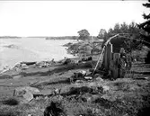 Strand nära Öregrund, Uppland i juli 1924