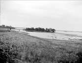 Landskapsvy med Dalälven, Hedesunda, Gästrikland i maj 1915