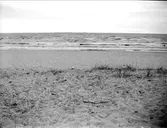 Sannolikt Gävlebukten,  Älvkarleby socken, Uppland augusti 1924