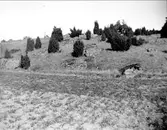 Kulle med stenar, Danmarks socken, Uppland maj 1927