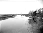 Sävjaån vid Edebybro, Danmarks socken, Uppland maj 1925