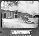 Gårdsmiljö, Bälinge socken, Uppland1919