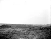 Landskapsvy vid Rosta, Bälinge socken, Uppland september 1917