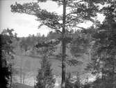 Norrviken, Sollentuna, Uppland 1916