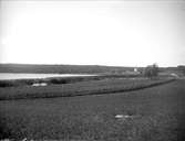 Landskapsvy, Eds socken, Uppland 1922