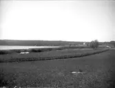 Landskapsvy, Eds socken, Uppland 1922