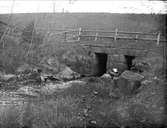 Forsbyån i Knivsta socken, Uppland juni 1927