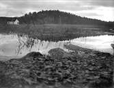 Ekoln vid Kungshamn, Alsike socken, Uppland november 1923