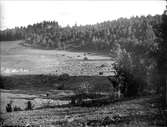 Landskapsvy vid Kungshamn, Alsike socken, Uppland 1922